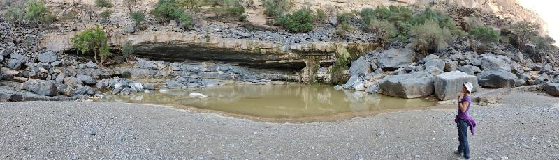 The View image