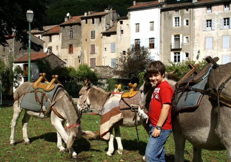 Lagrange Vacances La Closerie image