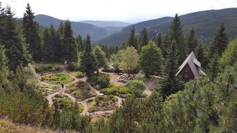 Pension Zum Glasmacher image