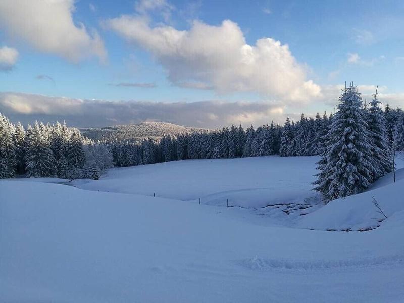 Pension Zum Glasmacher image