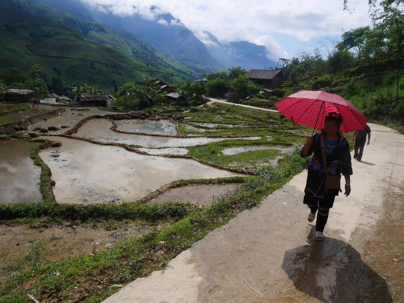 Zizi Homestay And Trekking Hostel