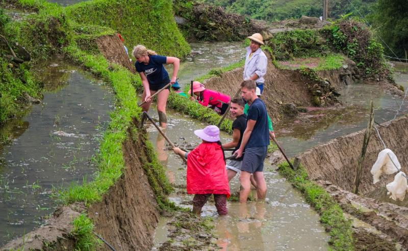 Zizi Homestay And Trekking Hostel