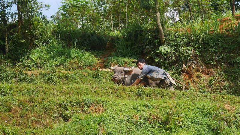 Zizi Homestay And Trekking Hostel 4