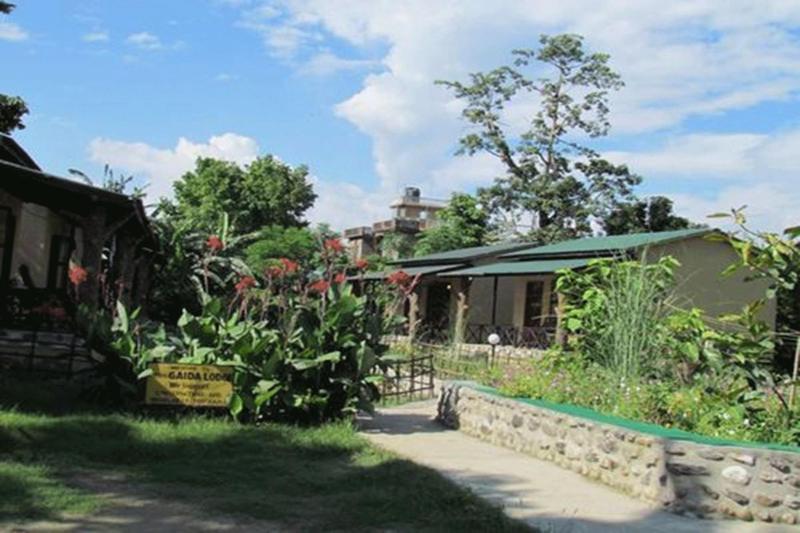 Chitwan Gaida Lodge image