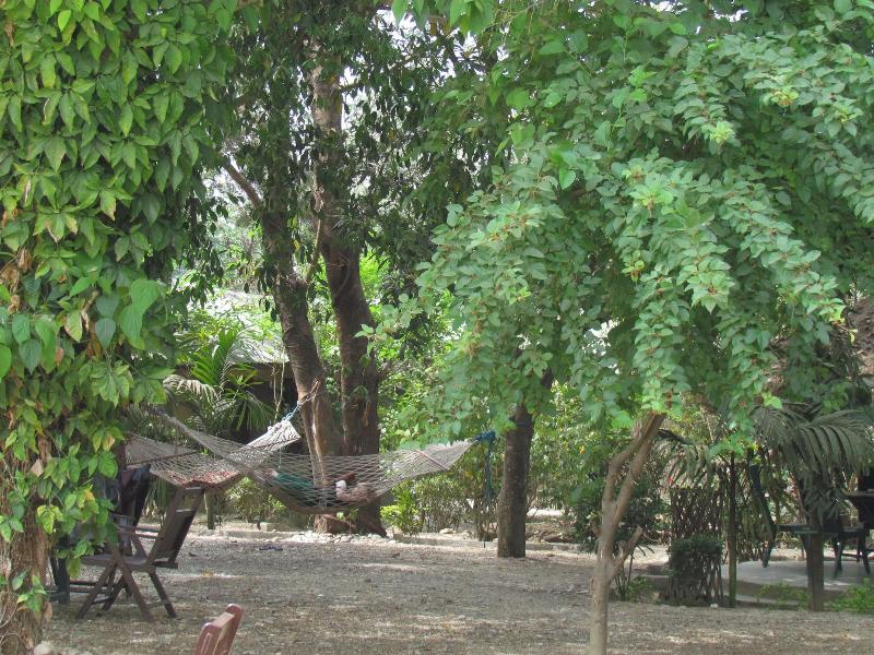 Chitwan Gaida Lodge image