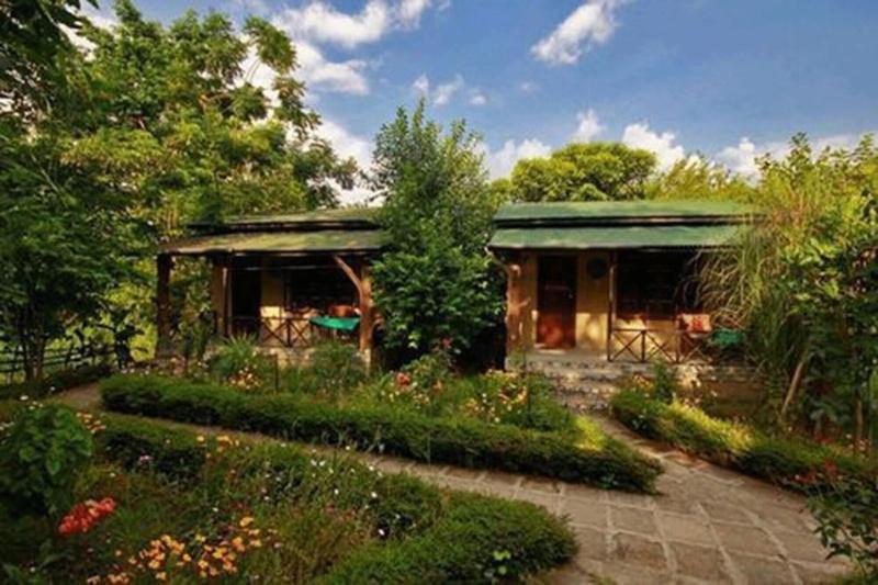 Chitwan Gaida Lodge image