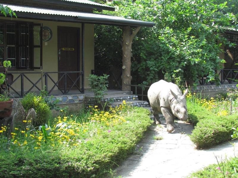 Chitwan Gaida Lodge image