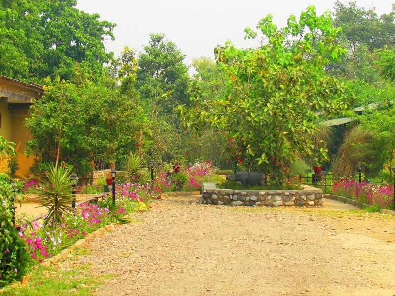 Chitwan Gaida Lodge image