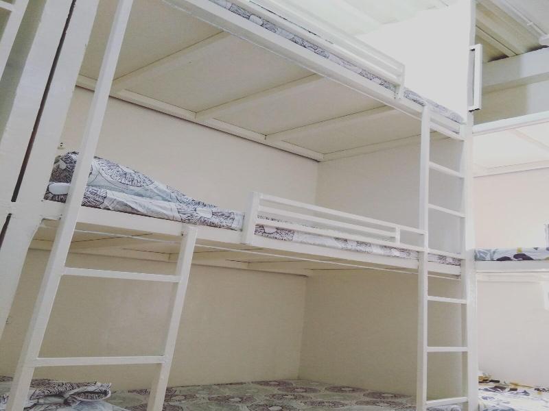 Bee Force Backpackers Hostel image