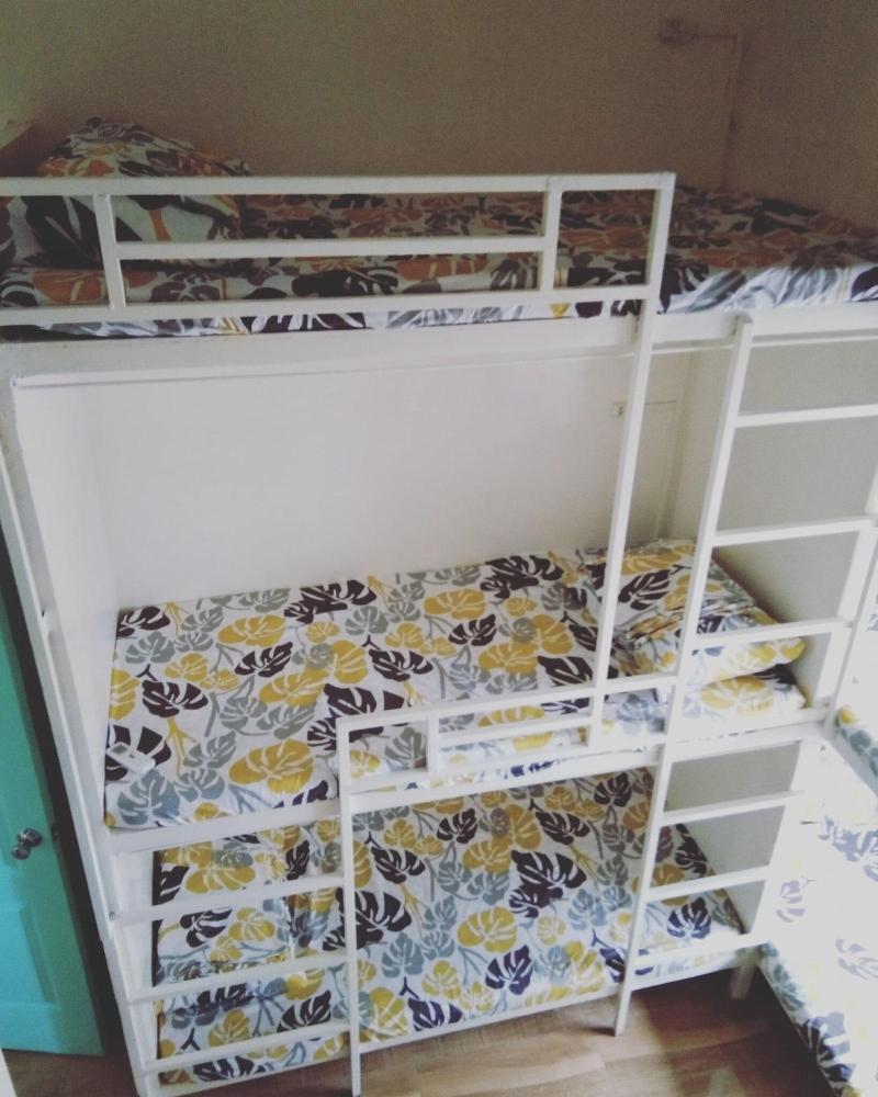 Bee Force Backpackers Hostel image