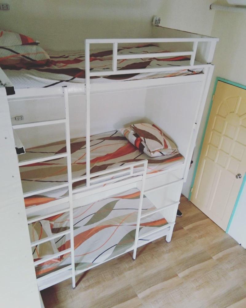 Bee Force Backpackers Hostel image