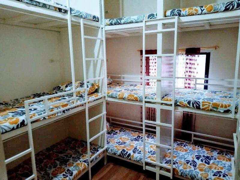 Bee Force Backpackers Hostel image