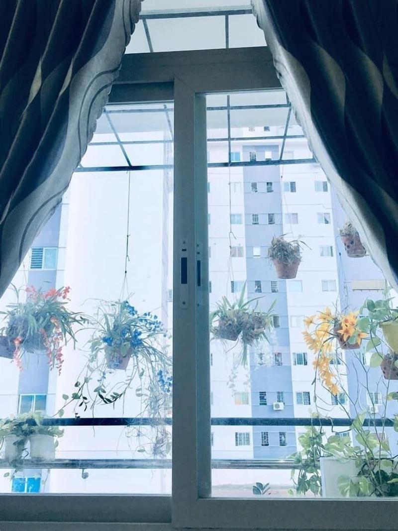 Quy Nhon Homestay Bnb image