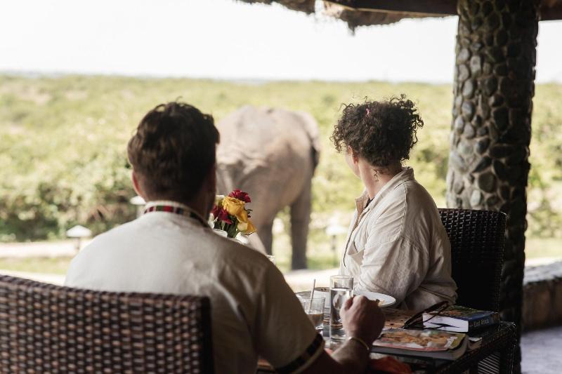 Buffalo Safari Lodge image