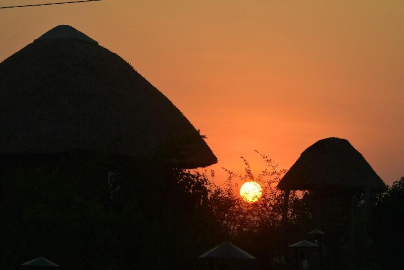 Buffalo Safari Lodge image