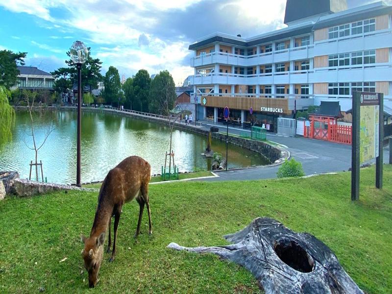 Hotel Tenpyo Naramachi image