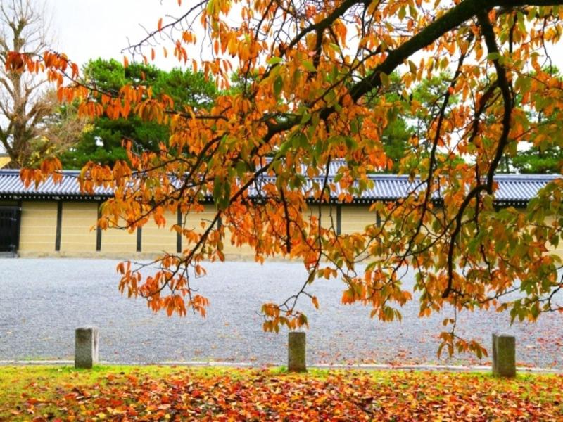 La'gent Hotel Kyoto Nijo image
