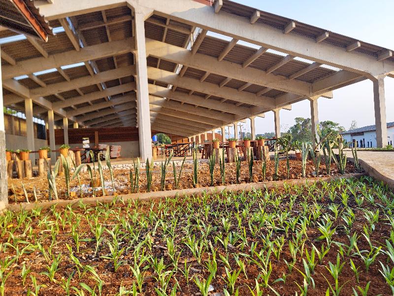 Pida Coffee Farm Lodge image