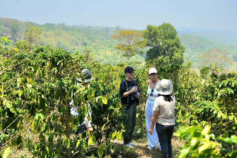 Pida Coffee Farm Lodge image