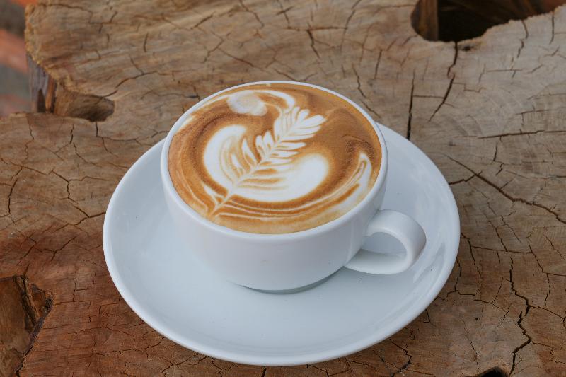Pida Coffee Farm Lodge image