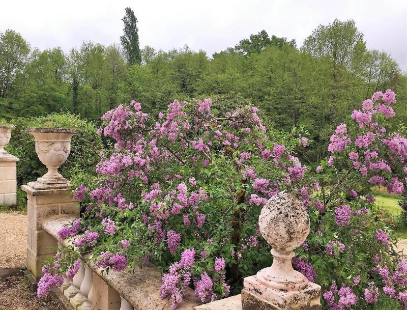 Château De Moison image