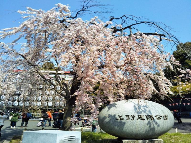 Hotel Brillio Asakusabashi image