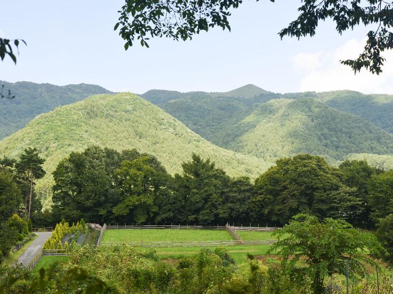 Country Inn Orchard House image