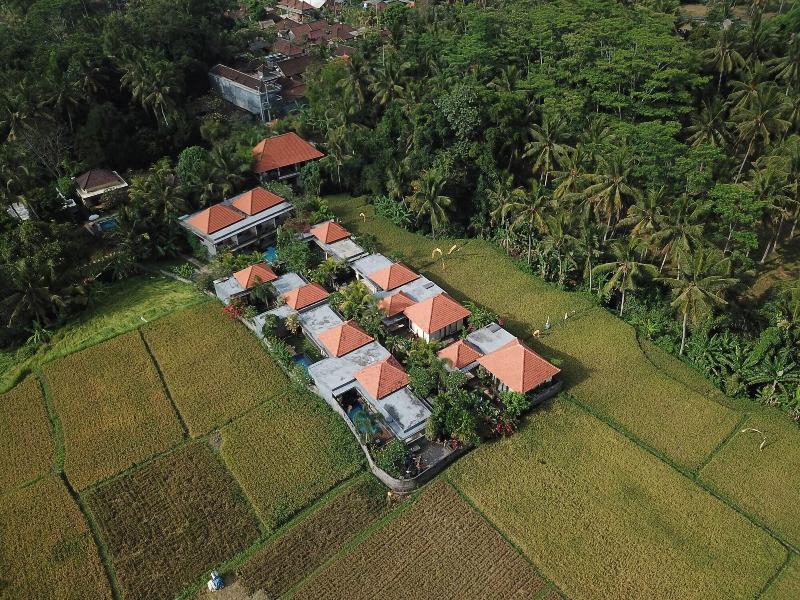 Asri Sari Resort Ubud image