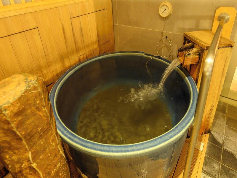 Dormy Inn Premium Ginza Hot Springs image