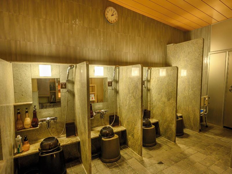 Dormy Inn Premium Ginza Hot Springs image