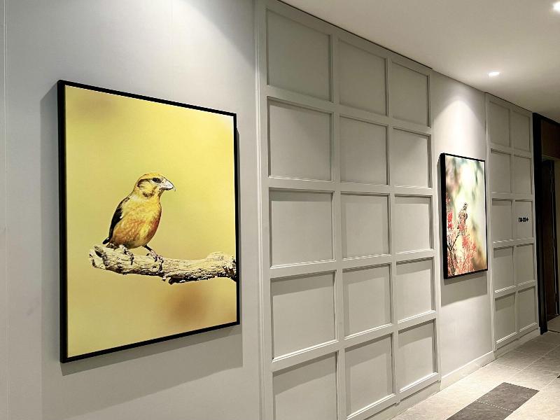 Le Vert Boutique Hotel image