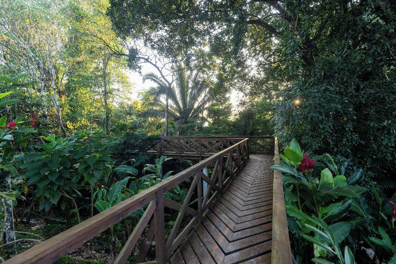 Jade Jungle Resort image