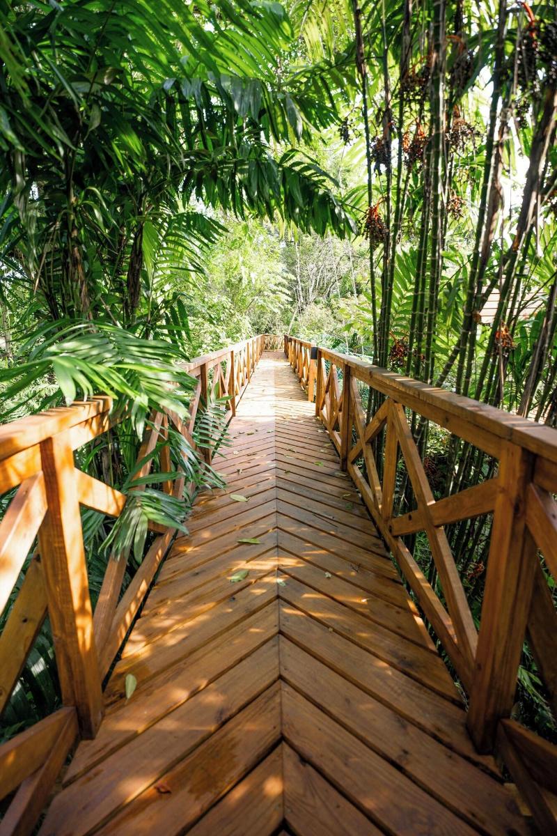 Jade Jungle Resort image