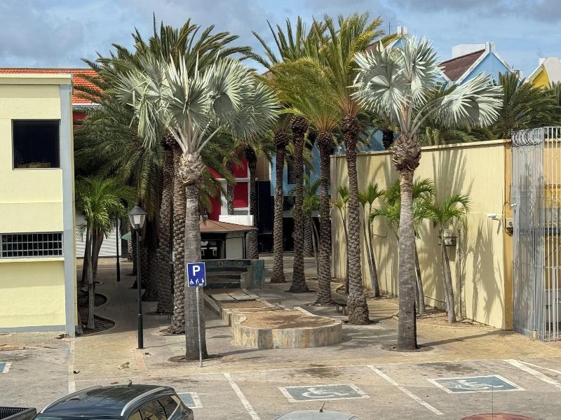 Central Boutique Hotel image