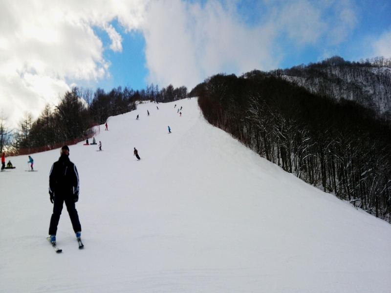 Pals Inn Raicho image