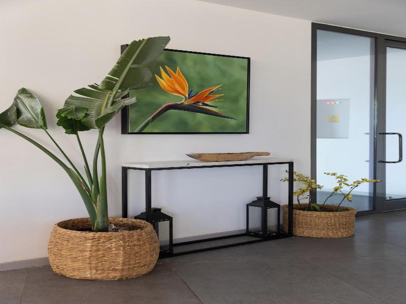 Payava Hotel By True Blue image