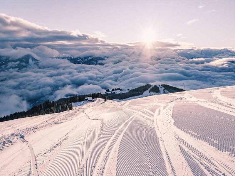 Alpine City Living By We Rent image