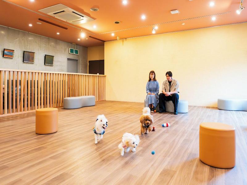 Beppu Fuga image