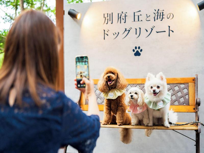 Beppu Fuga image