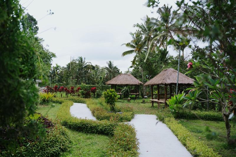 Image -