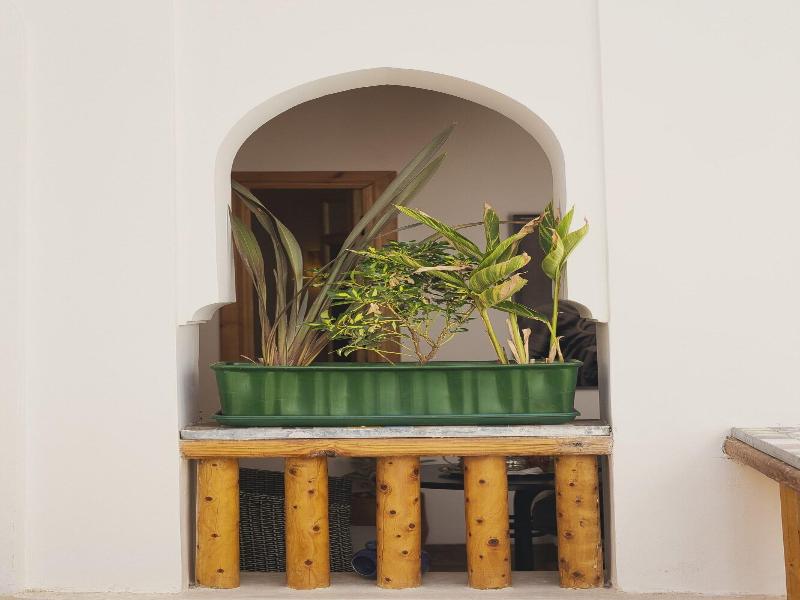 Riad Mama Square image