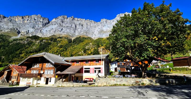 Gadmen Alpenrose, Switzerland image