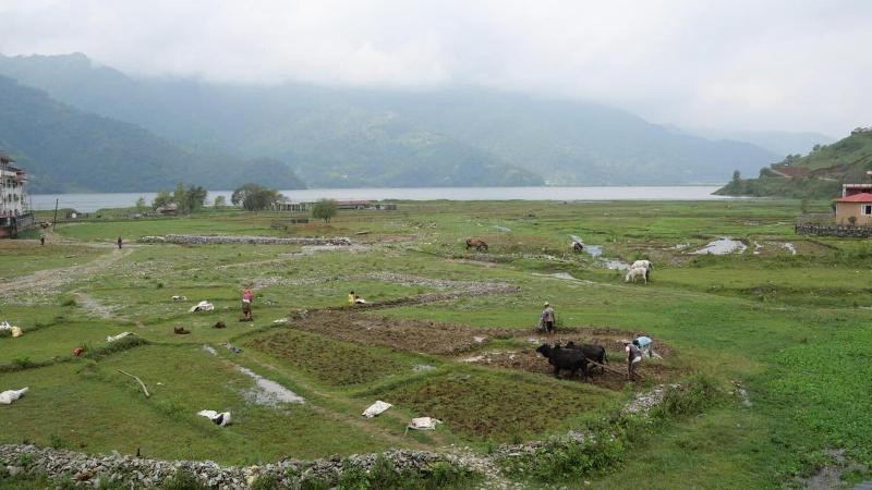 Tranquil Water Guest House Pokhara image