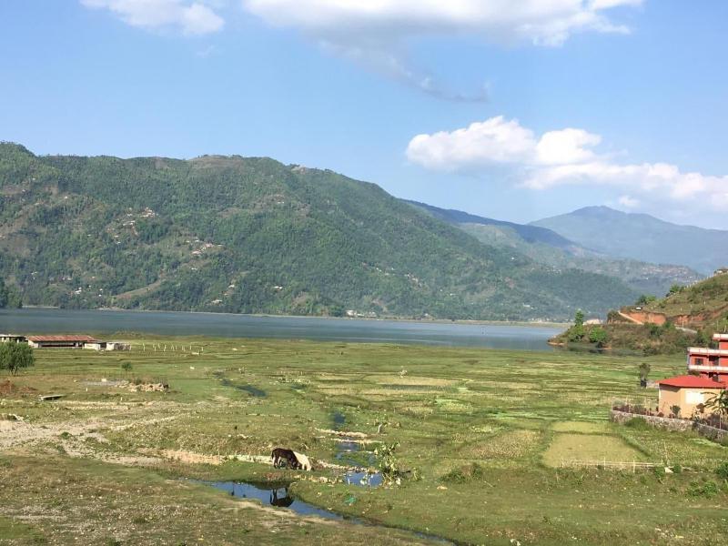 Tranquil Water Guest House Pokhara image