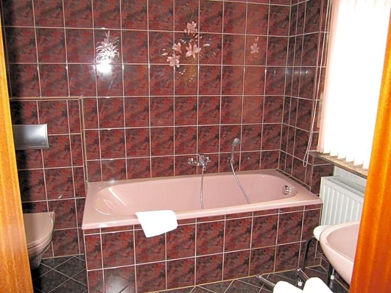 Hotel Wettin image