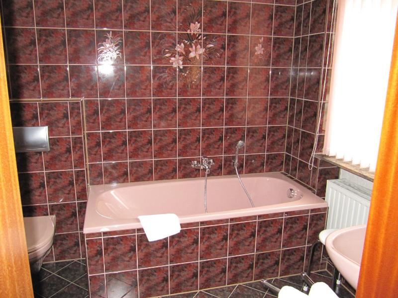 Hotel Wettin image