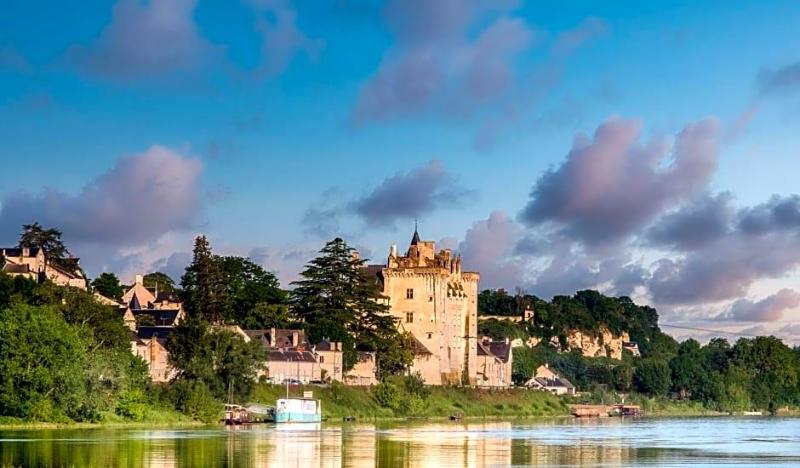 La Marine De Loire Hôtel & Spa image