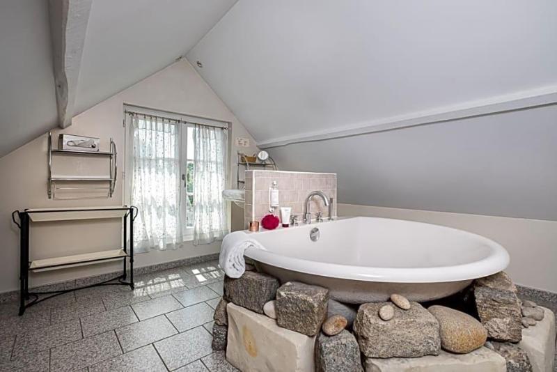 La Marine De Loire Hôtel & Spa image