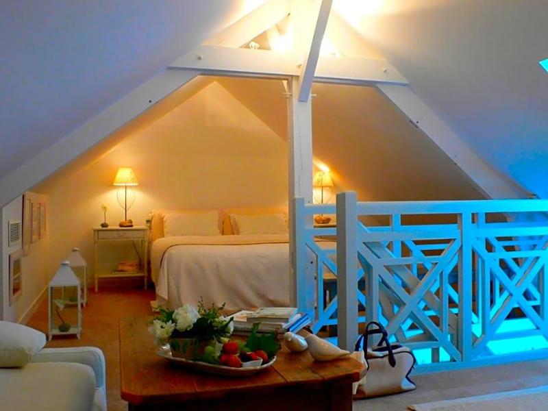 La Marine De Loire Hôtel & Spa image