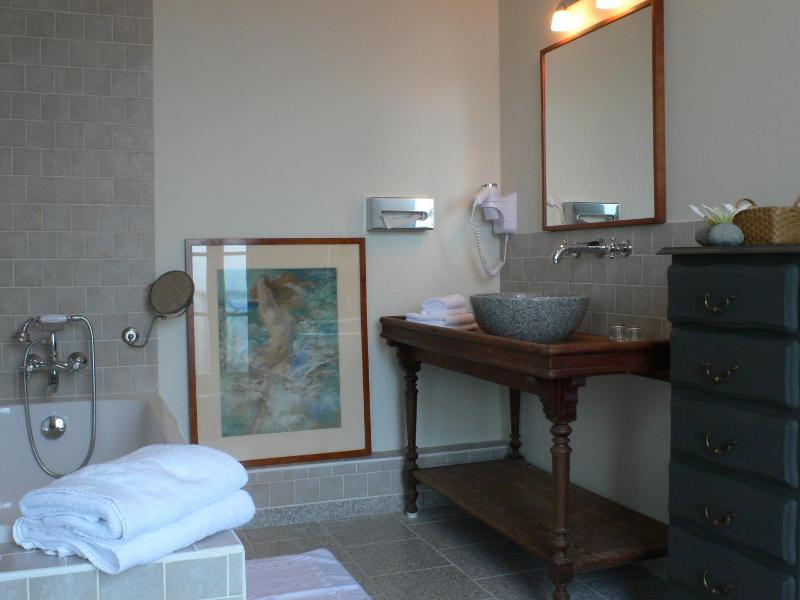 La Marine De Loire Hôtel & Spa image